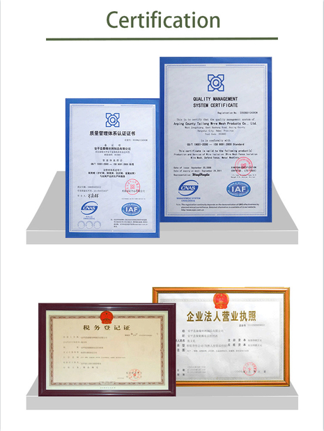 চীন Anping Tailong Wire Mesh Products Co., Ltd. সার্টিফিকেশন